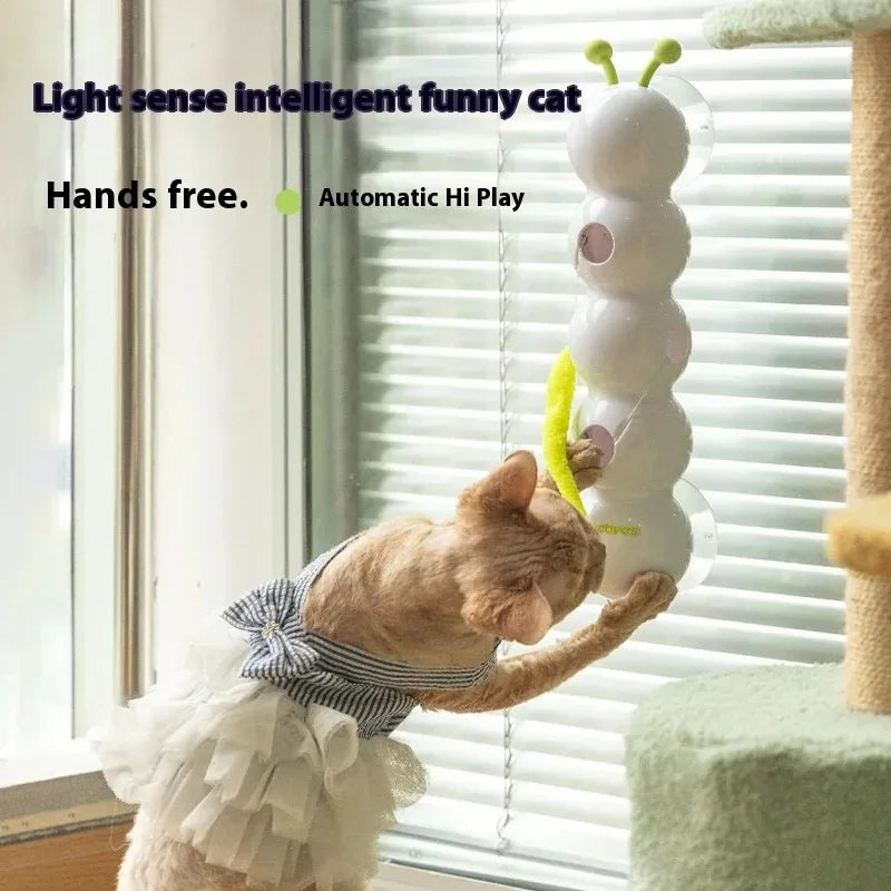 Interactive Caterpillar Cat Toy 🐛🐾